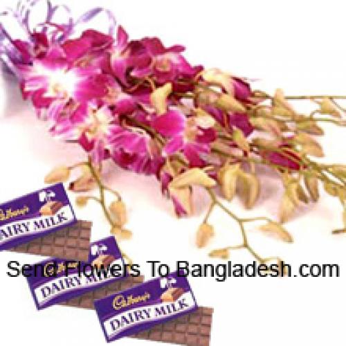 Niedliche rosa Orchideen mit Cadbury-Schokolade