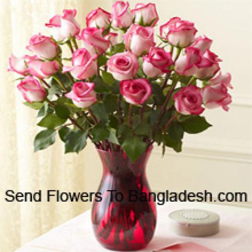 24 Shiny Dual Toned Roses