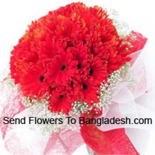 Cute 36 Red Gerberas