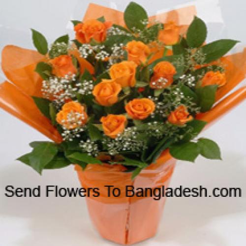 18 Cute Orange Roses