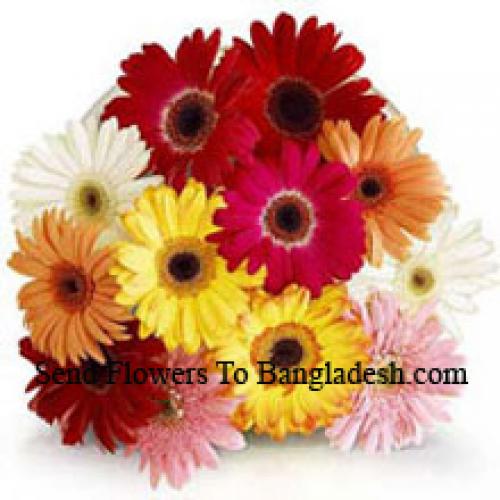 12 Assorted Gerbera's met Vullers