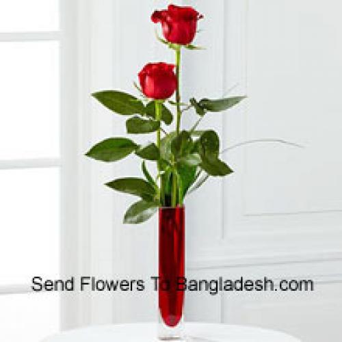 2 Sweet Red Roses in Vase