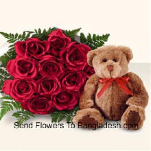 12 Rote Rosen mit niedlichem braunen Teddy