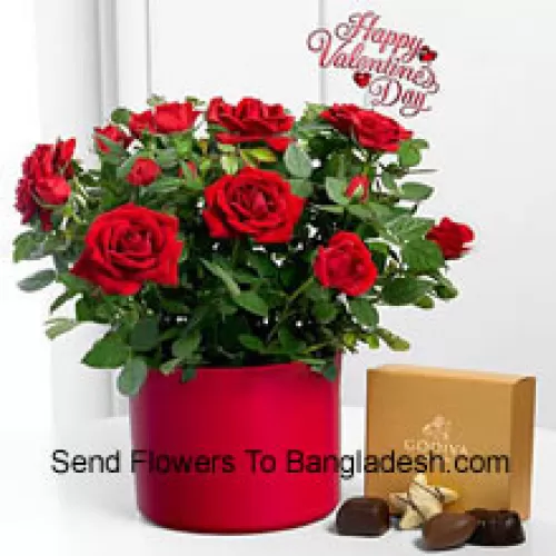 24支红玫瑰和一些蕨类植物放在一个大花瓶里，再加上一盒Godiva巧克力（如无法提供Godiva巧克力，我们有权用等值的巧克力替代。库存有限）